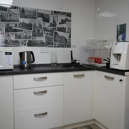 Skyhome Goloseevsky Estalagem